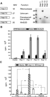FIG. 2.