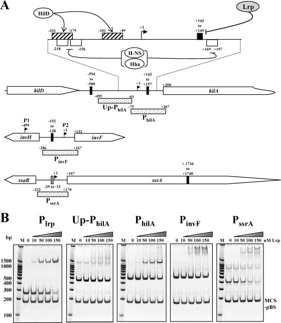 FIG. 8.