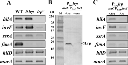 FIG. 5.