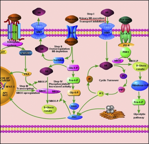 FIGURE 1.