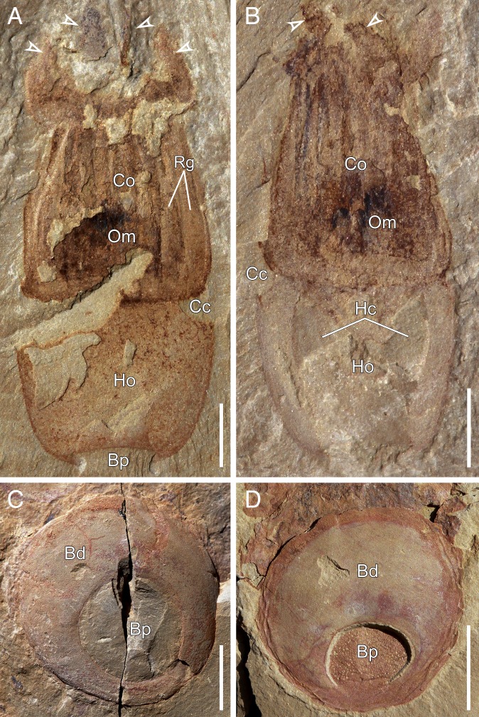 Fig. 3.