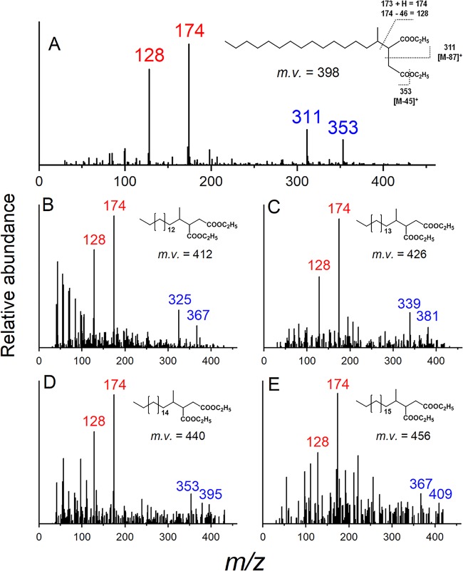 FIG 3