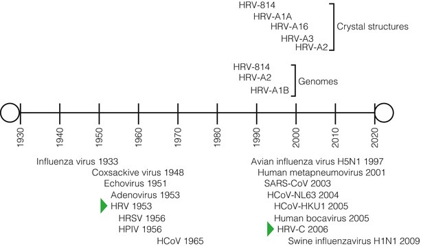 Fig. 29.1