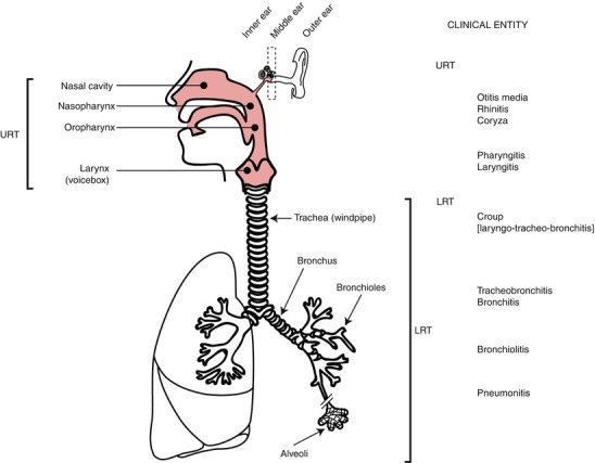 Fig. 29.7