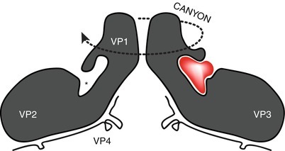 Fig. 29.11