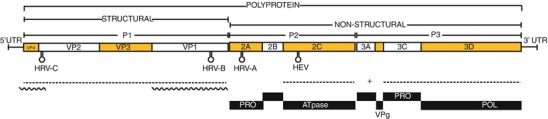 Fig. 29.3