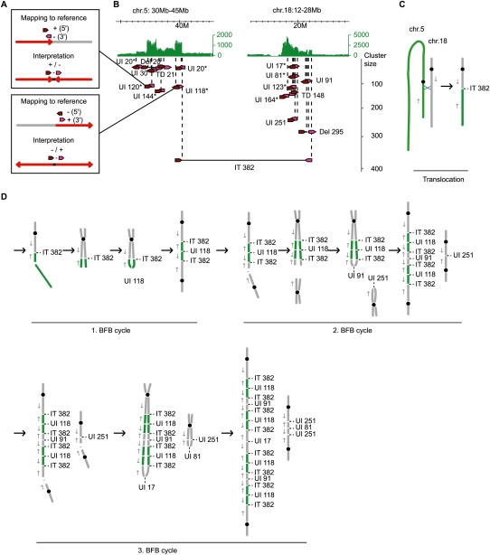 Figure 6.