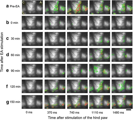 Fig. 4