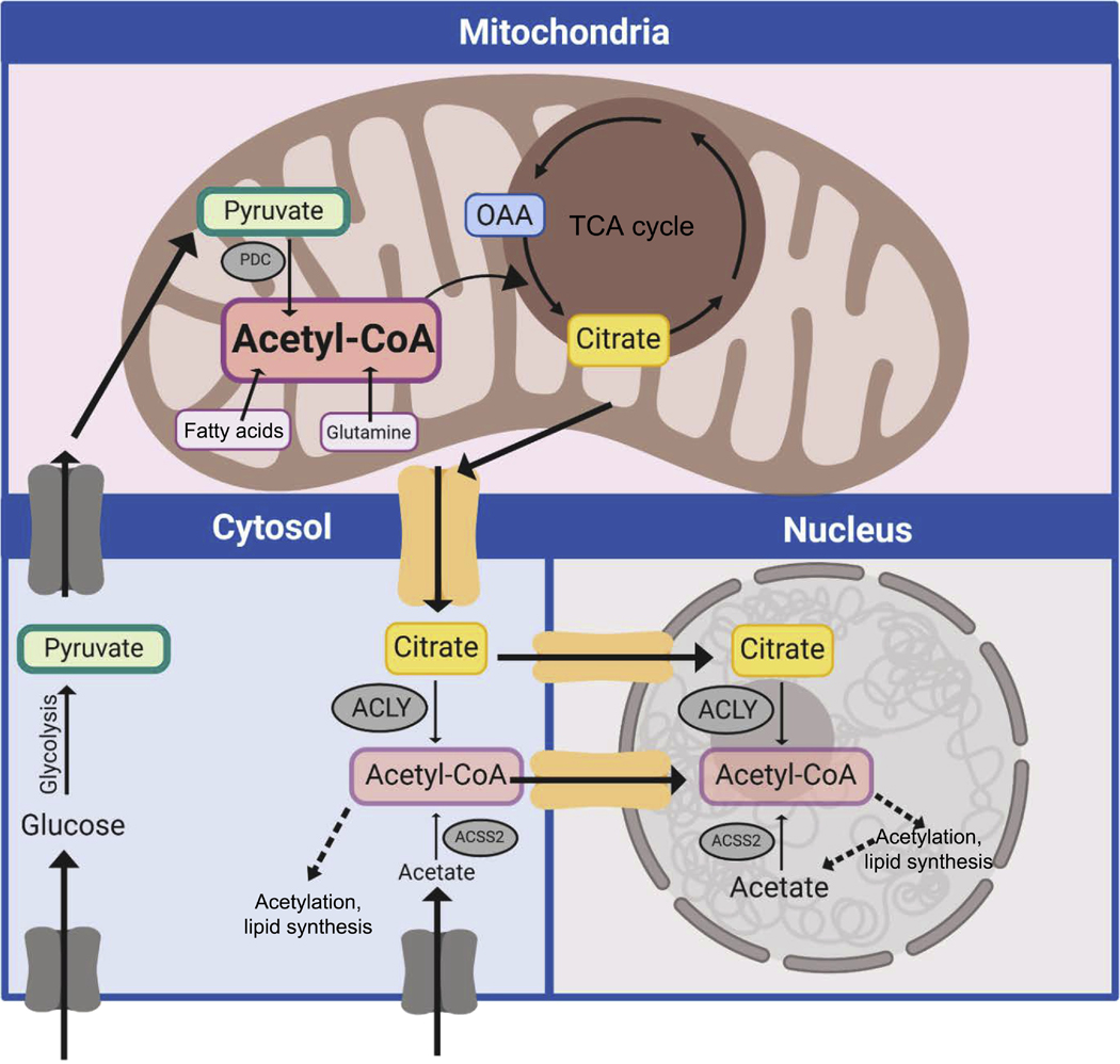 Figure 3: