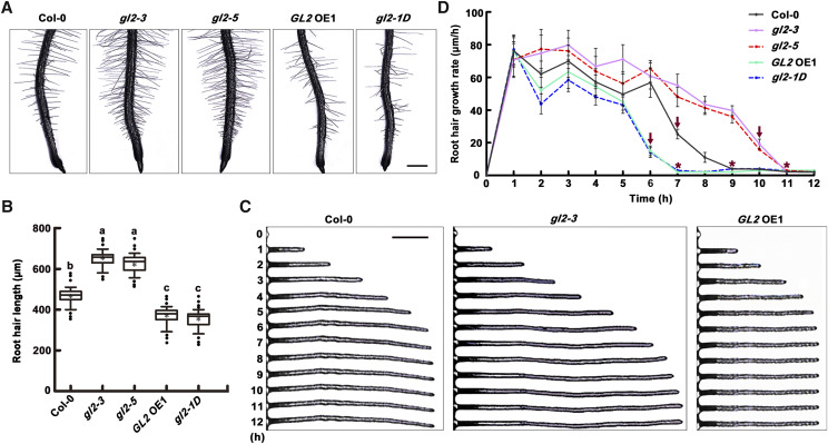 Figure 6.