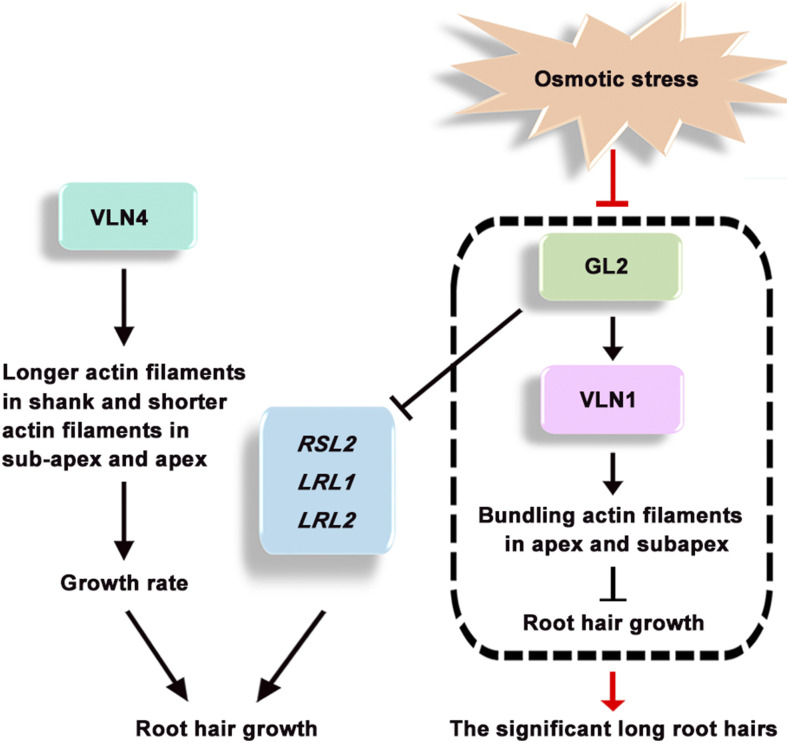 Figure 11.