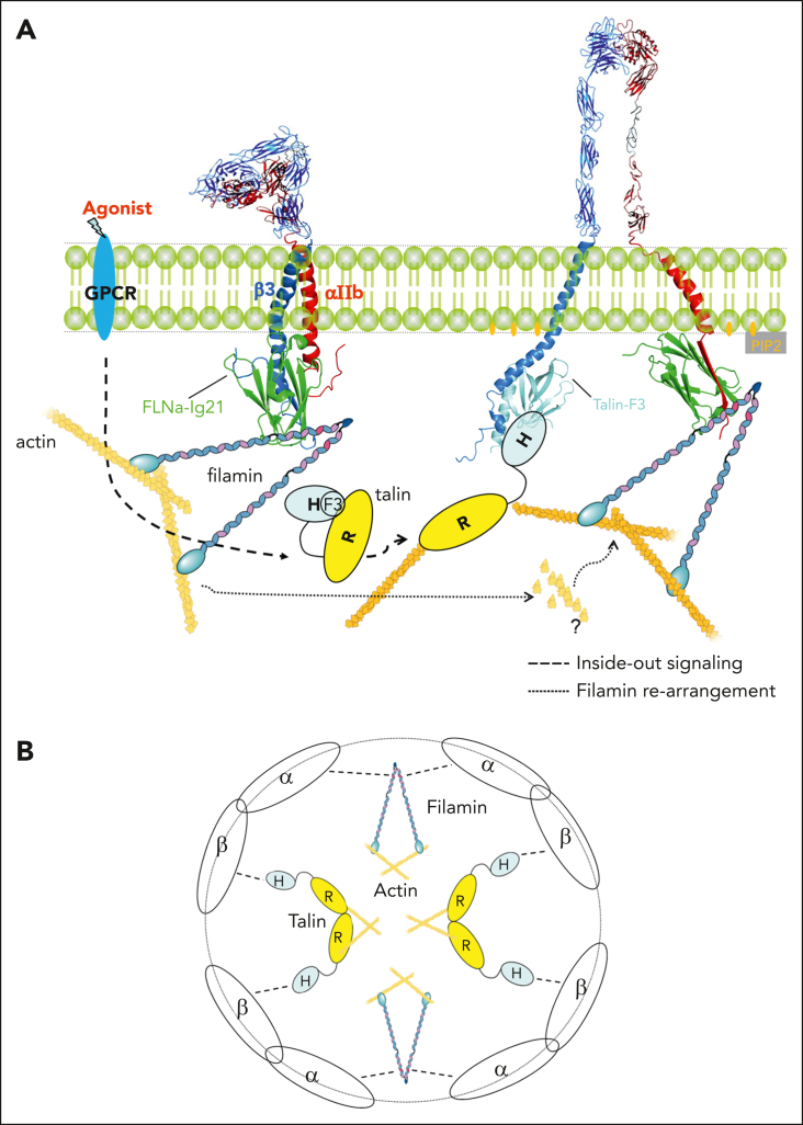 Figure 7.