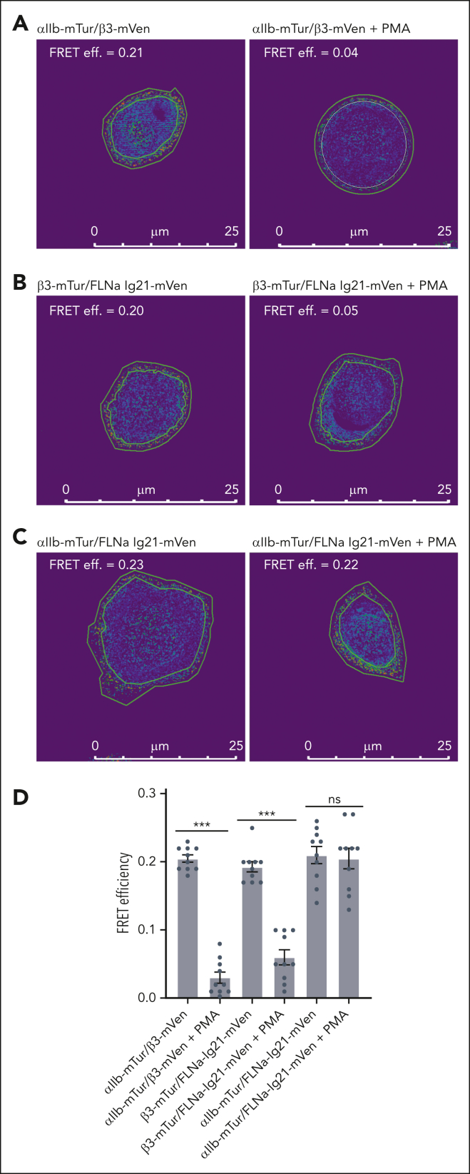 Figure 2.