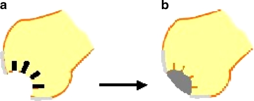 Fig. 1