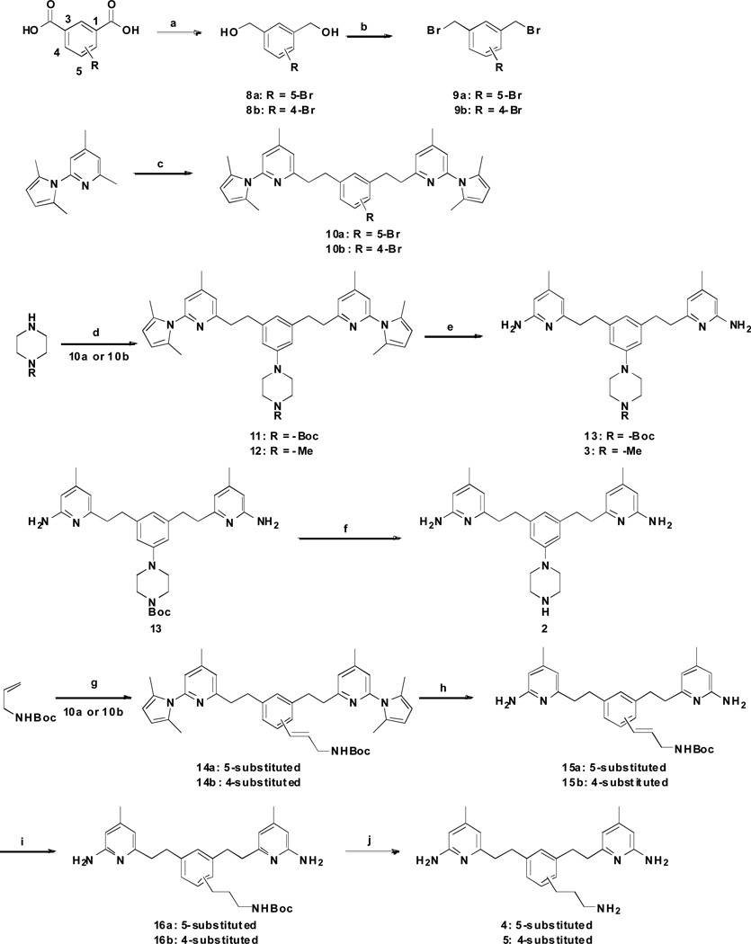 Scheme 1