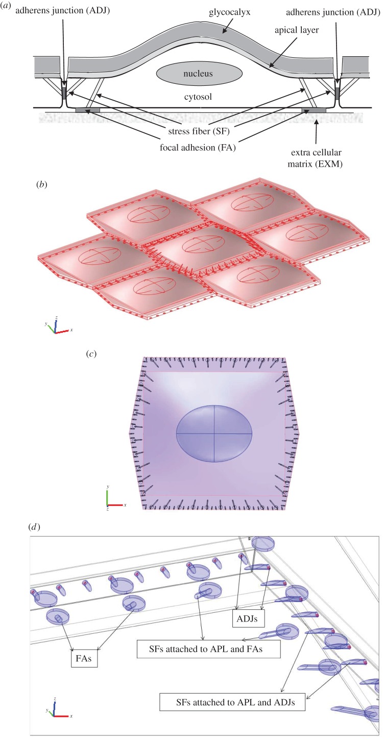 Figure 1.