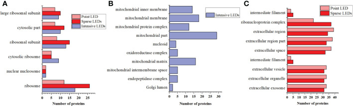 Figure 7