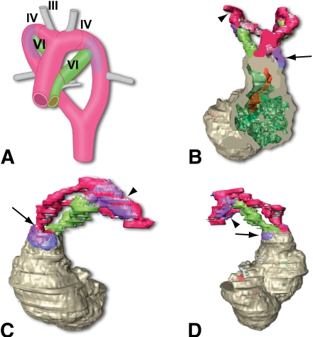 FIG. 2.