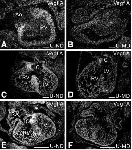 FIG. 5.