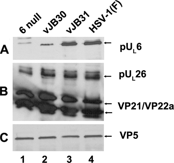 FIG. 5.