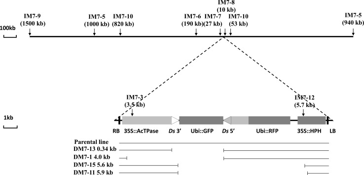 Fig. 3