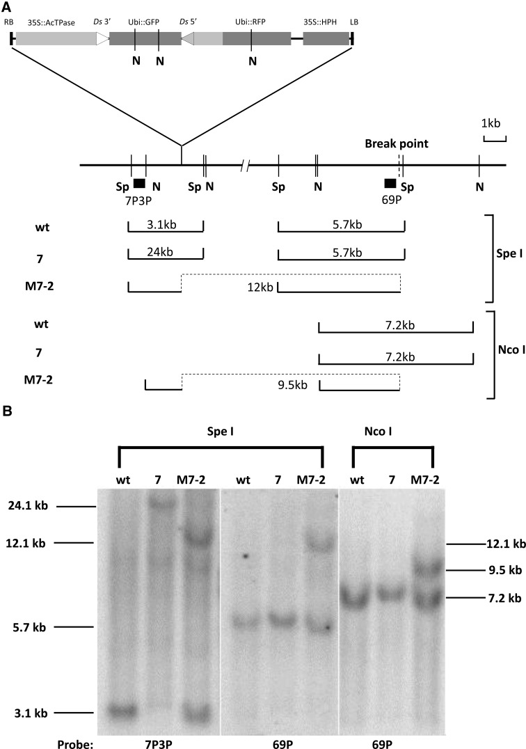 Fig. 4