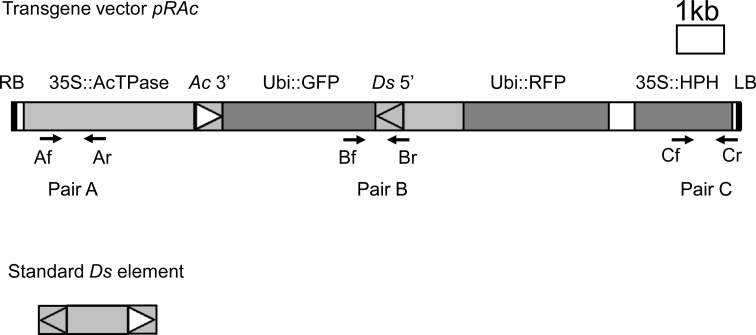 Fig. 1