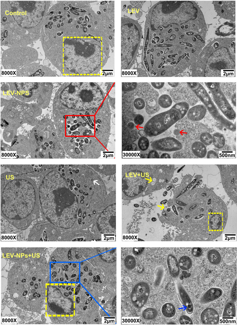 Fig. 7