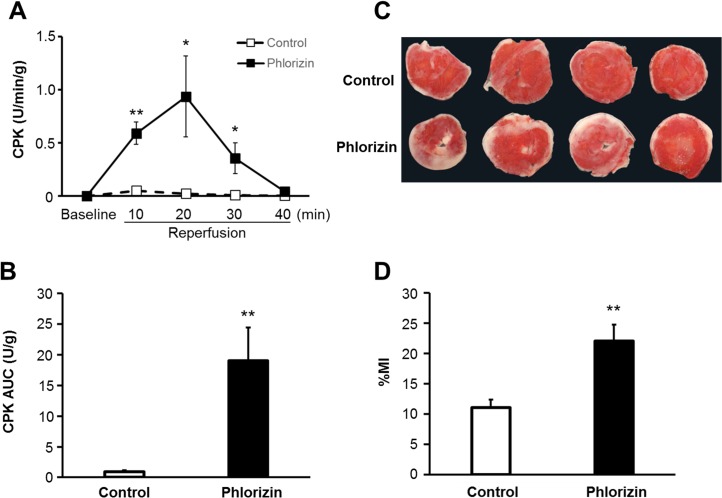 Fig 5