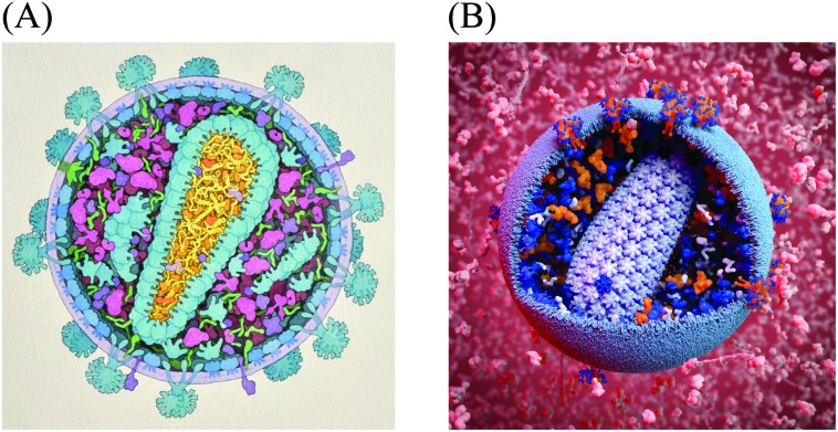 Fig. 1