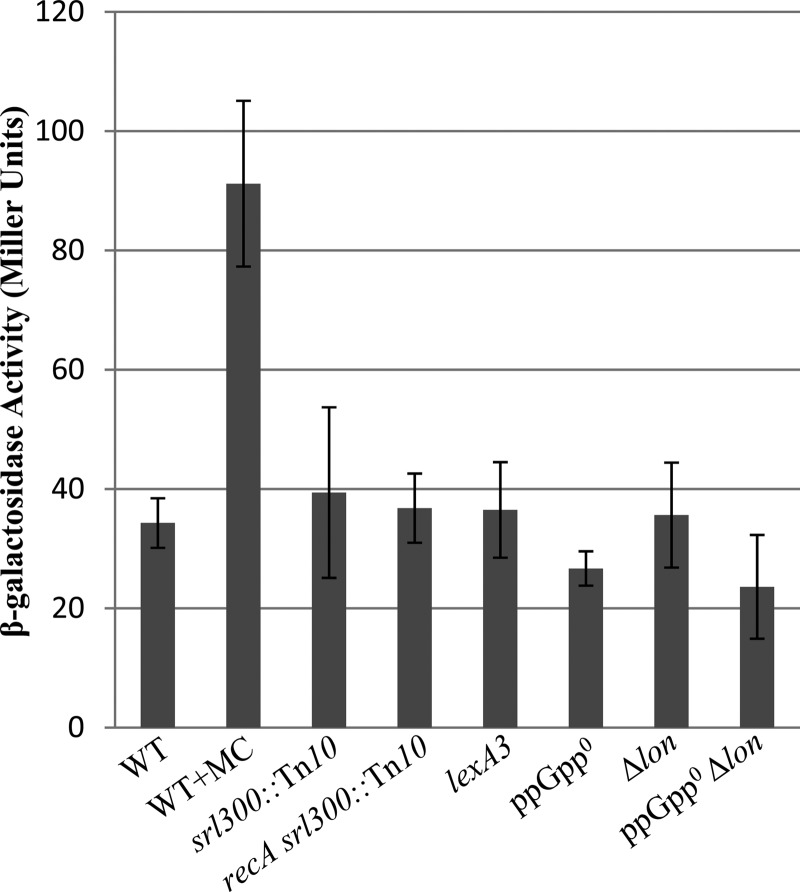 FIG 4