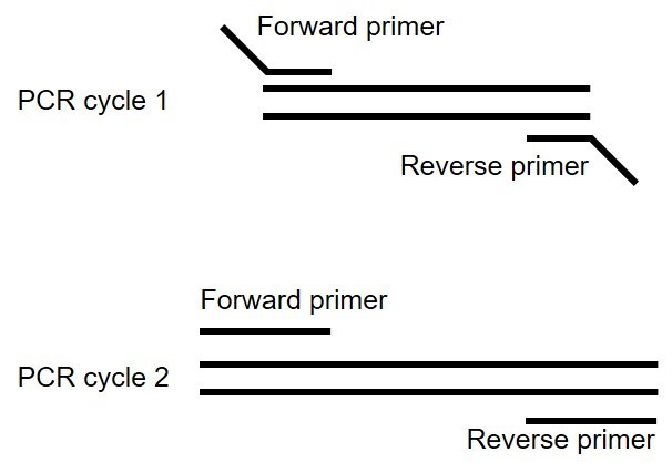 Figure 16.