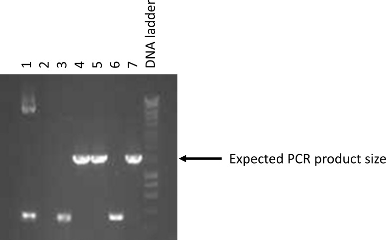 Figure 18.