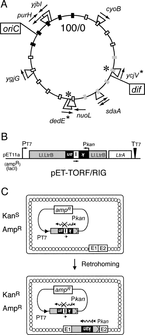 FIGURE 1.