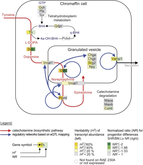 Figure 1.