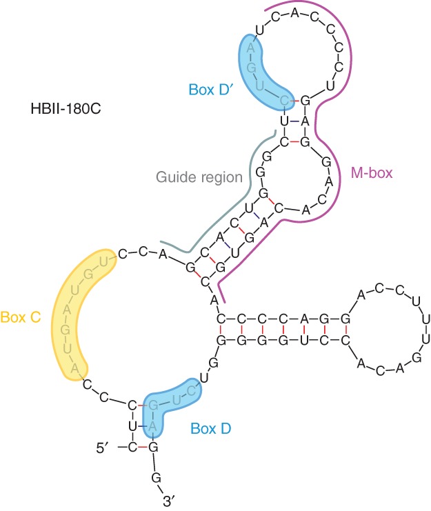 FIGURE 3