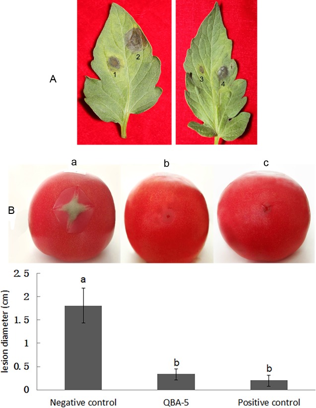 Fig 4