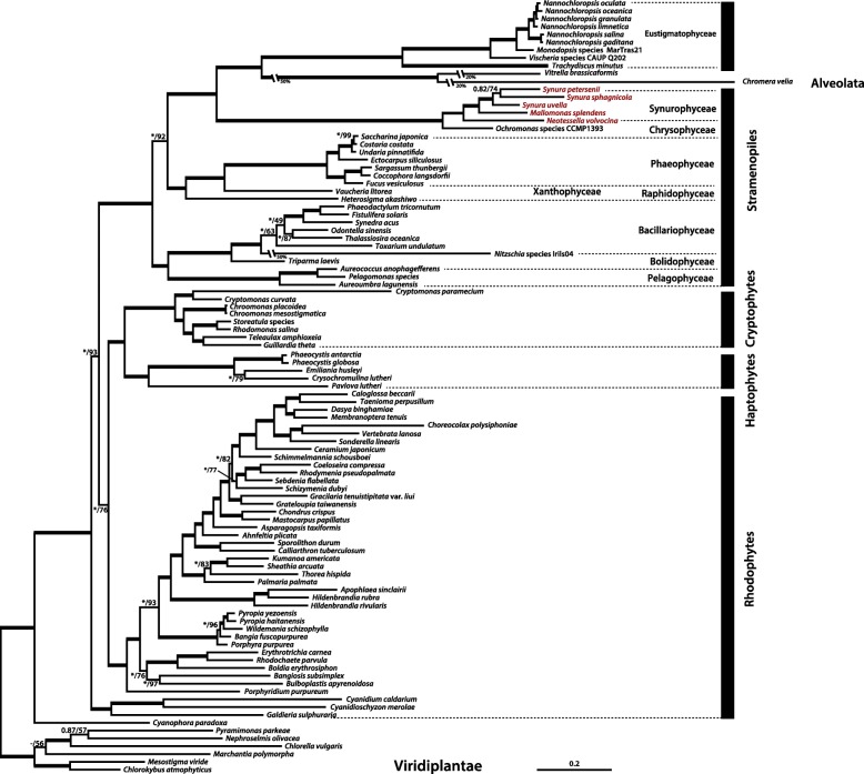 Fig. 4