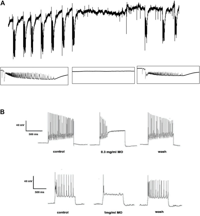 FIGURE 1