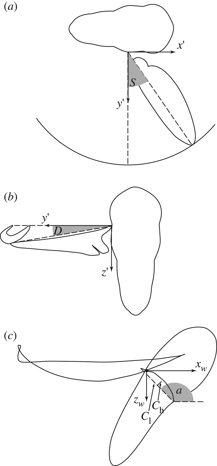 Figure 1.