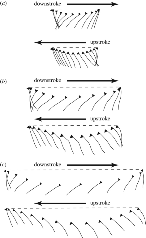 Figure 7.