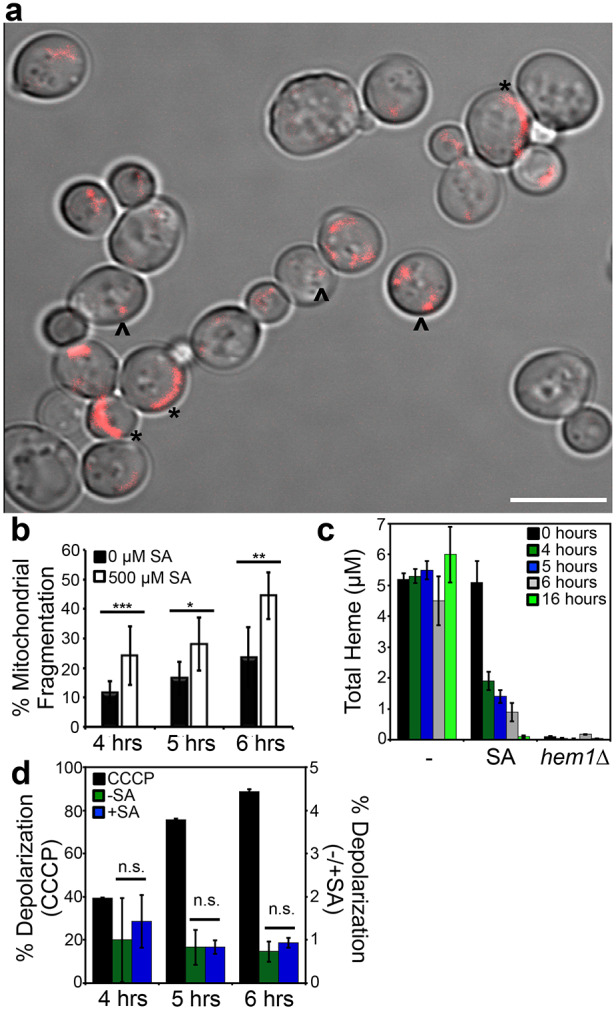 Fig. 8.