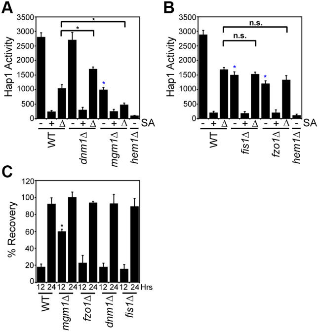 Fig. 7.