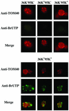 FIG. 7.