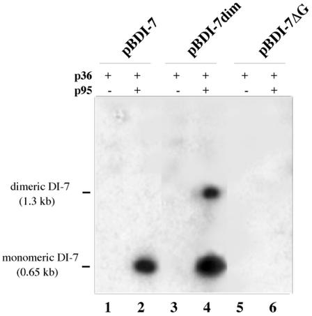 FIG. 5.