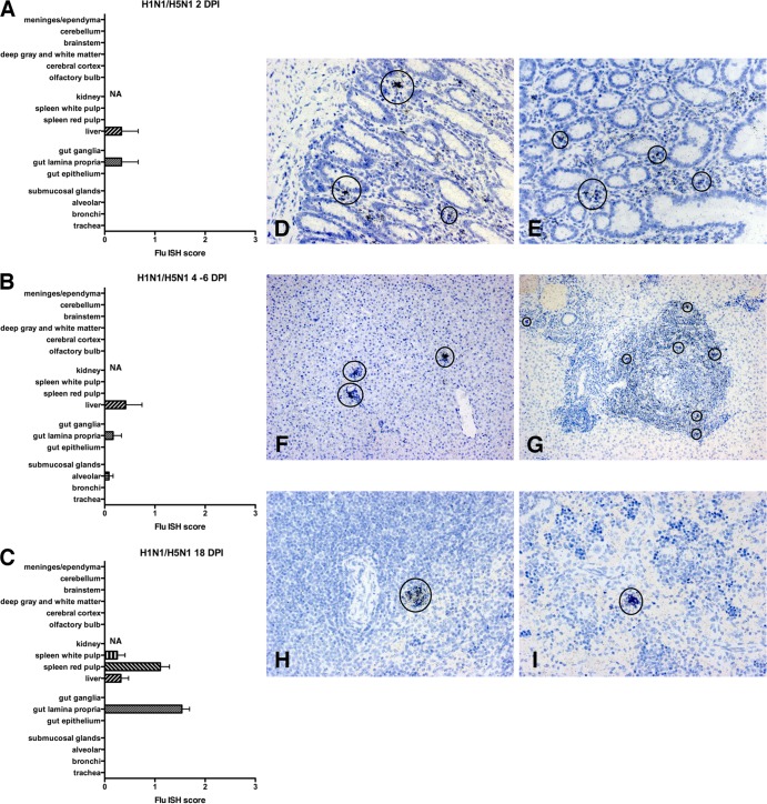 FIG 4