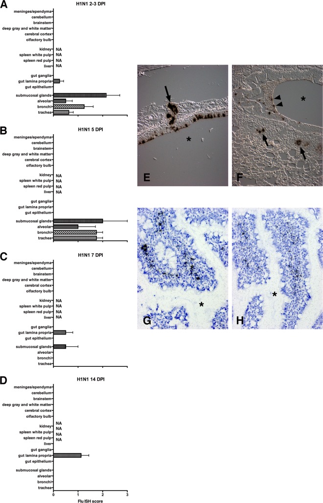 FIG 1