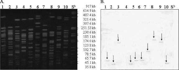 FIG. 2.