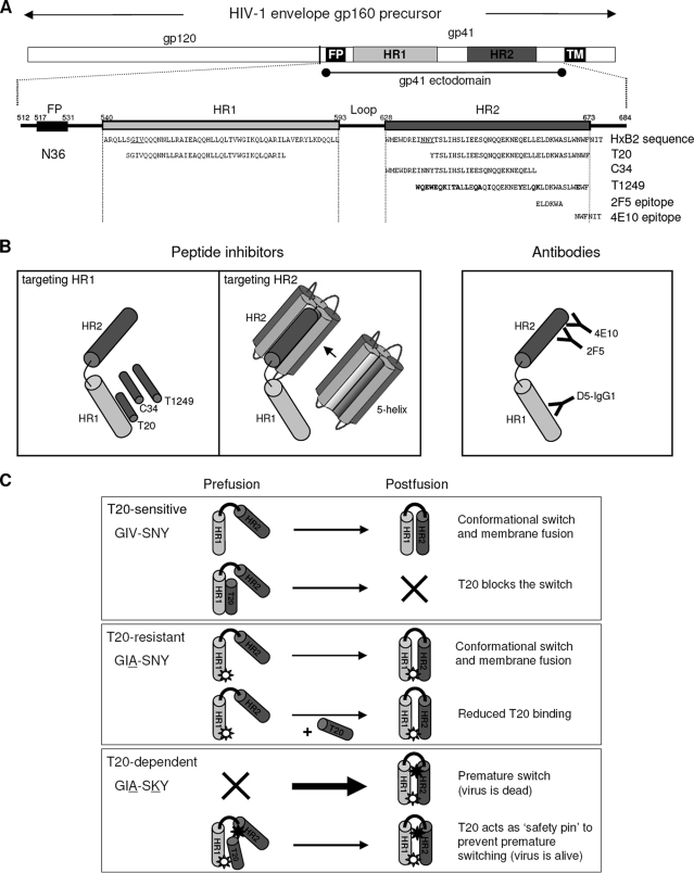 FIG. 1.