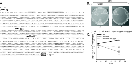 FIG. 2.